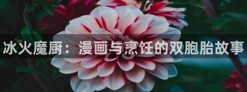 漫蛙manwa漫画网址