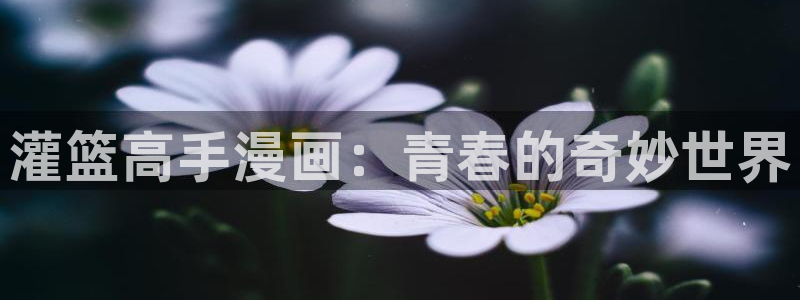 manwa漫蛙防走失站网站