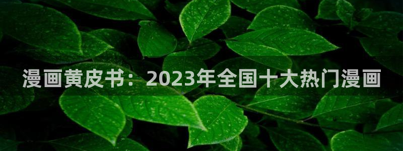 大陆地区2:漫蛙网页版备用