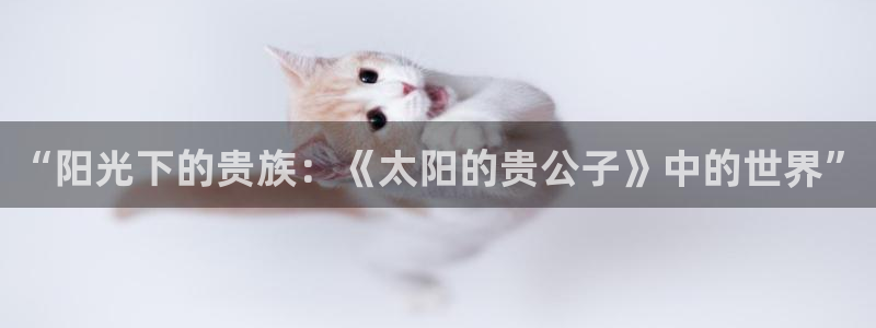 漫蛙官方入口