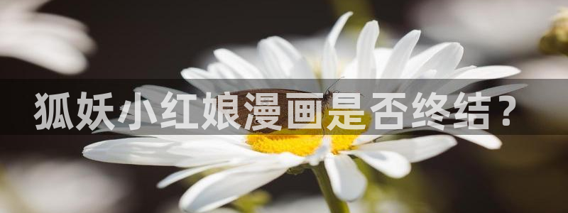 漫蛙免费漫画入口页面