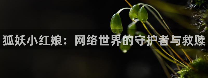 manwa漫蛙防走失站