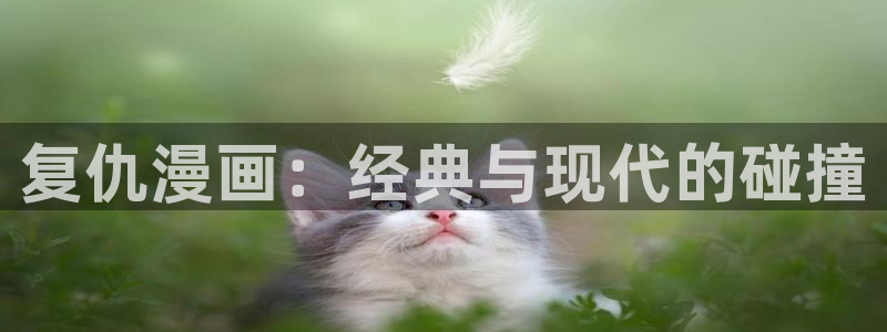 漫蛙网扯