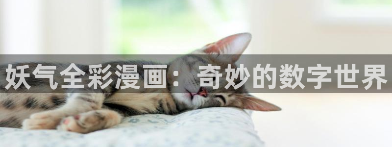 漫蛙更新