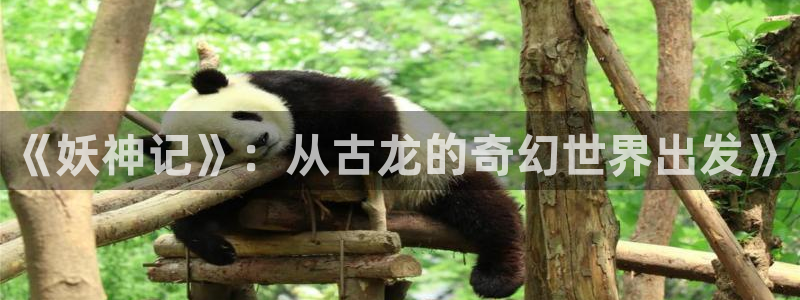 漫蛙l