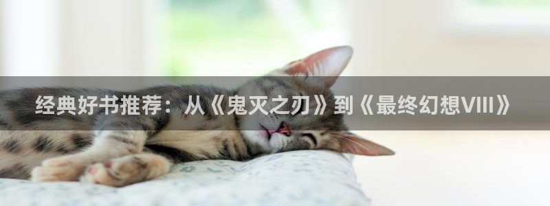 漫蛙漫画 下载