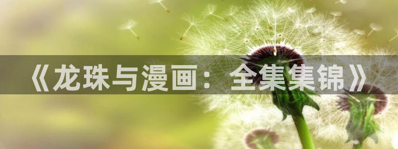 漫蛙专注