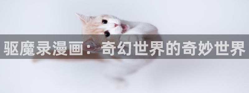 七日八色漫蛙
